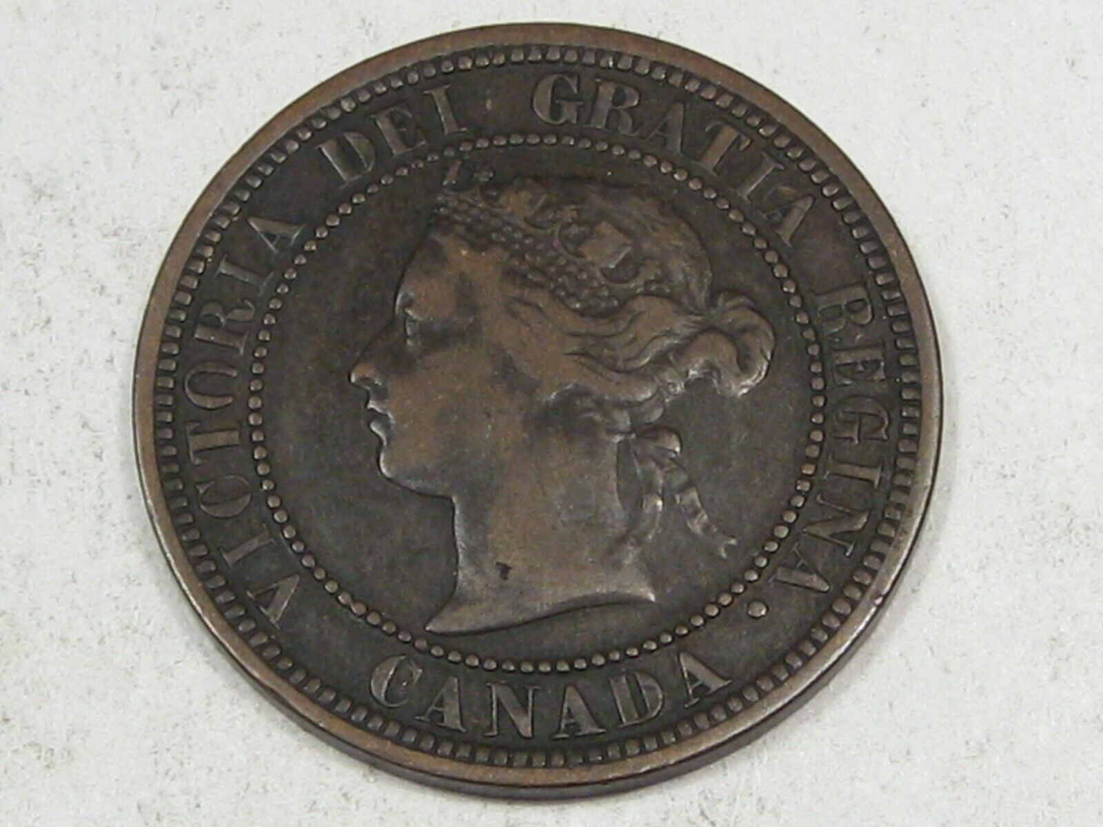 Please-Grade-This-1882-Large-Cent